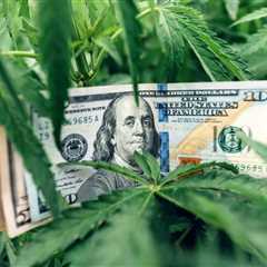 2 Marijuana Stocks To Watch For This Weeks Trading