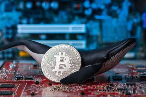 Bitcoin Whales On-Chain Activity Decreases;  What does it mean for BTC?