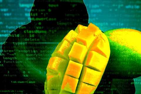 Mango Markets Hacker Rugpulls Mango Inu After Warning Investors ‘would Definitely Lose All Their..