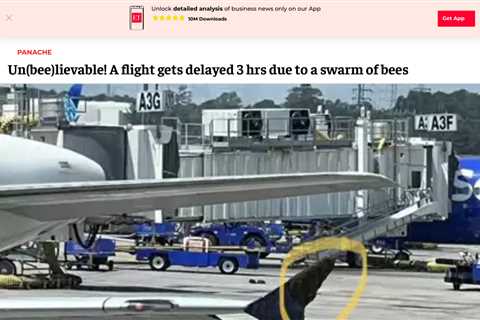 Delta Flight Delayed for Three Hours Due to Swarm of Bees on the Wing
