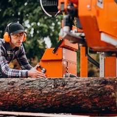 Common Myths about Tree Removal and Disposal