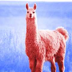 The primary GPT-4-class AI mannequin anybody can obtain has arrived: Llama 405B