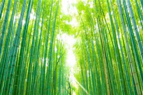 Unlocking Wealth: The Benefits of Stock Investing